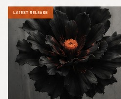 新曲 FADE TO NOWHERE ジャケット